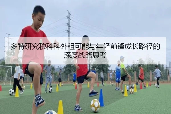 多特研究穆科科外租可能与年轻前锋成长路径的深度战略思考